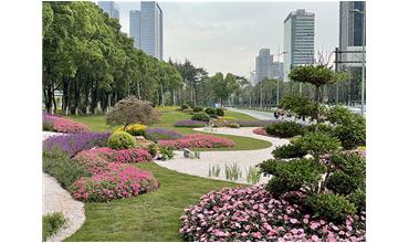 來現場打卡，感受“美麗無錫”的美好